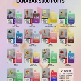 LANA Bar BC6000 puffs 拋棄式電子煙 一次性超涼款 貨到付款