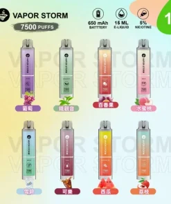 VAPOR STORM 風暴辣妹 大容量拋棄式7500口電子菸/可充電