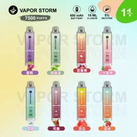 VAPOR STORM 風暴辣妹 大容量拋棄式7500口電子菸/可充電